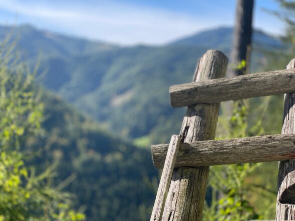 L3 Sandluckengraben Trail