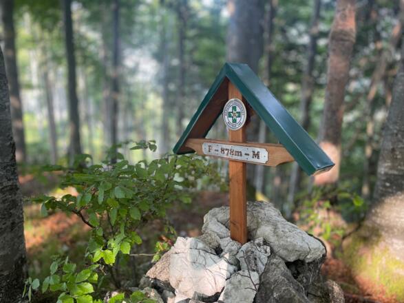 L3 Rinnerberger Trail