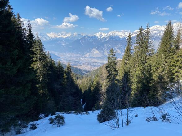 Den Güterweg überquert man und folgt weiterhin bergwärts einer Lichtung.