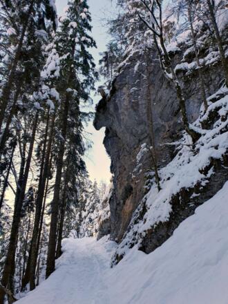 Zur_Stubenalm_4