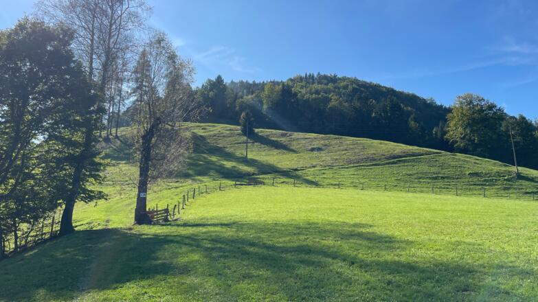 L3 Sandluckengraben Trail