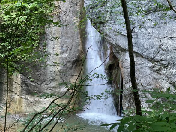 L3 Rinnerberger Trail