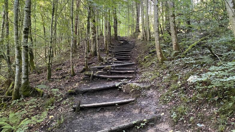 L3 Rinnerberger Trail