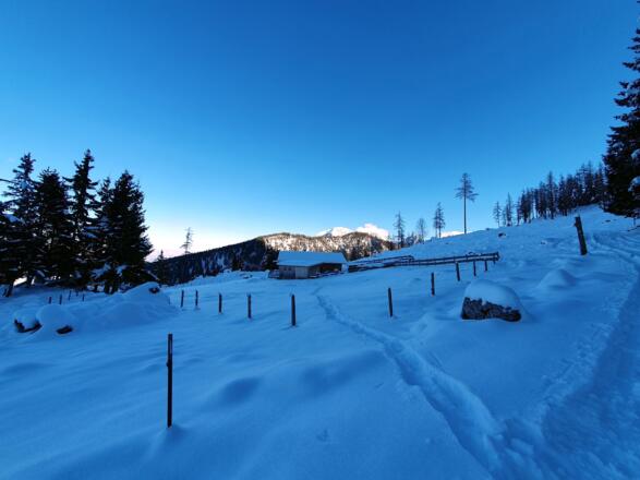 Zur_Stubenalm_14
