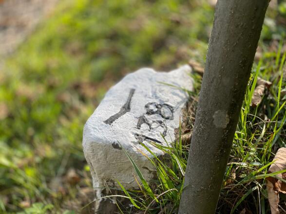 L3 Sandluckengraben Trail