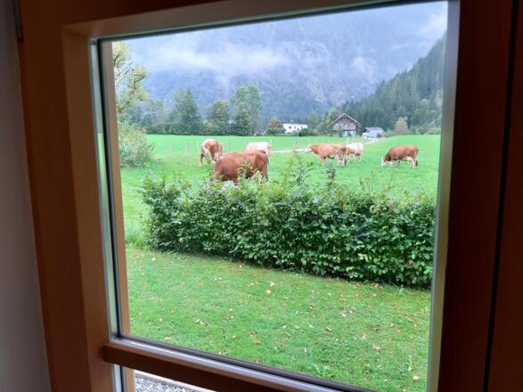 Aussicht