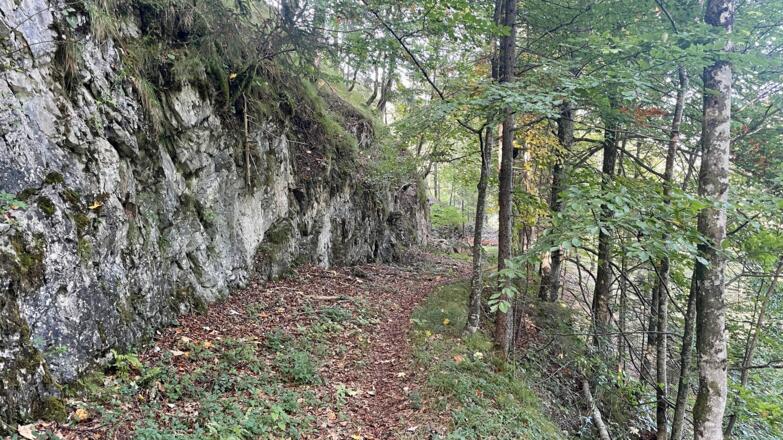 L3 Sandluckengraben Trail