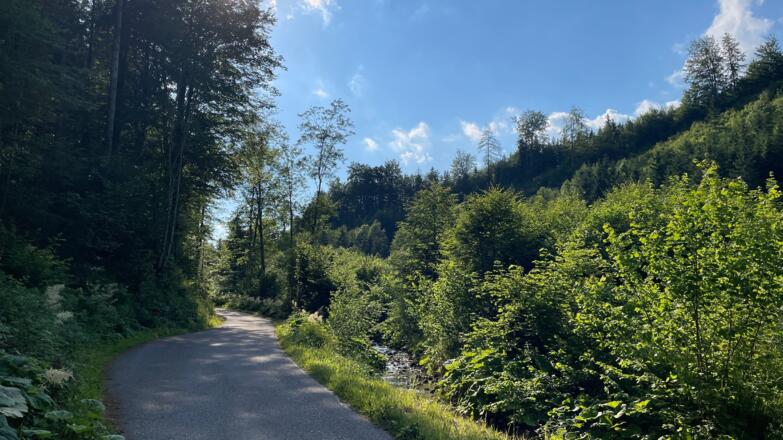 L3 Rinnerberger Trail