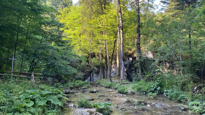 L3 Rinnerberger Trail