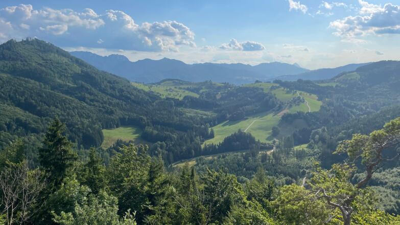 L3 Rinnerberger Trail