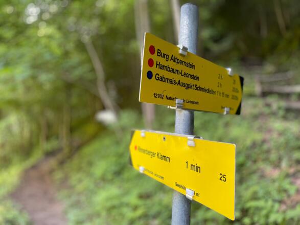 L3 Rinnerberger Trail