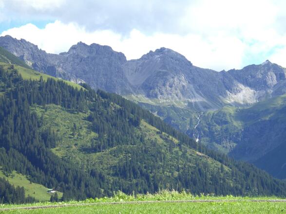 Schafalpenköpfe