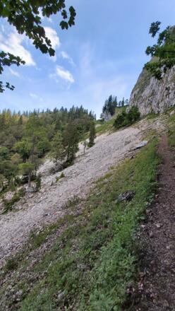 Weg Richtung Mittersee
