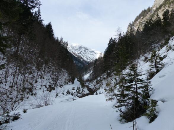 Das Weißenbachtal, eingezwängt zwischen Bärenkopf und Stanser Joch.