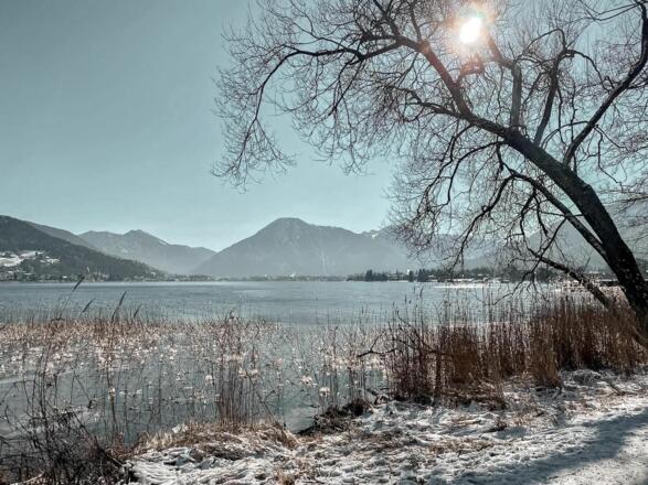 Seepromenade nur 3 Minuten entfernt mit dem Wallberg