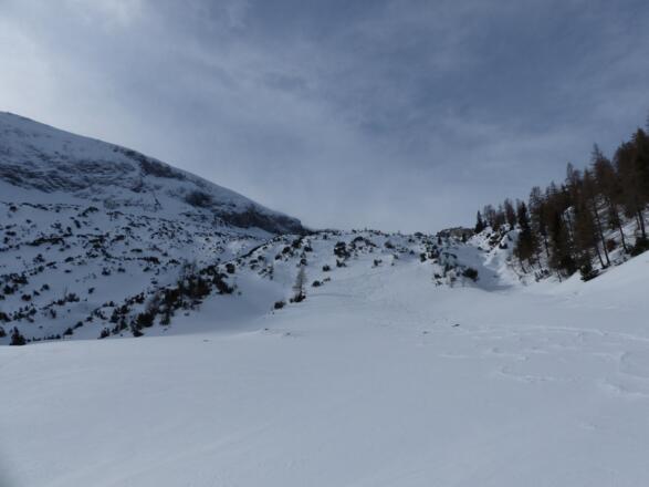 Bei viel Schnee sind die Latschen im Weißenbachkar komplett zugeschneit. Doch durch die Breite des Kares findet man auch bei geringerer Schneelage einen guten Weg nach oben.