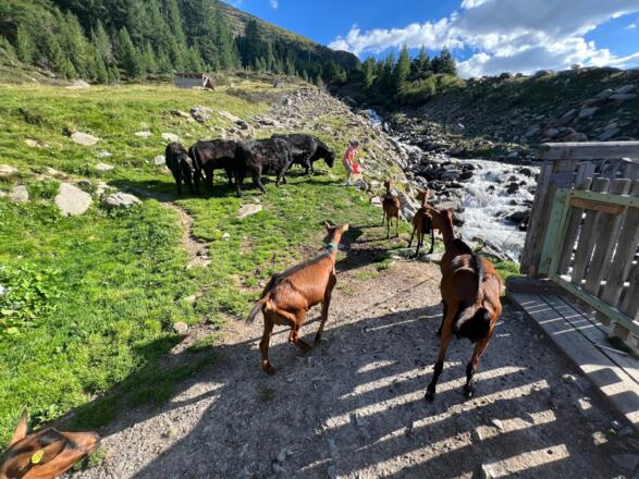 Wanderung nach Obergurgl "City"