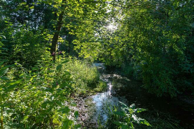 Am Weg zum See
