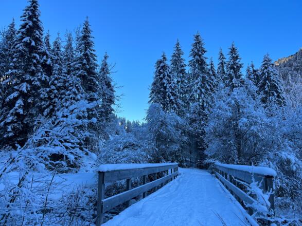 Der Winterwanderweg quert mehrmals die Lutz