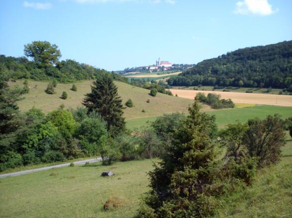 Blick auf das Kloster Neresheim