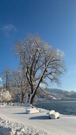 An der Seepromenade, nur 3 Minuten entfernt