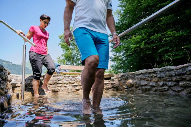 Sommer_im_Großen_Walsertal__(c)_Alex_Kaiser_-_Alpe