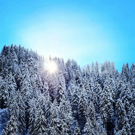 Klostertalerhof Winterlandschaft