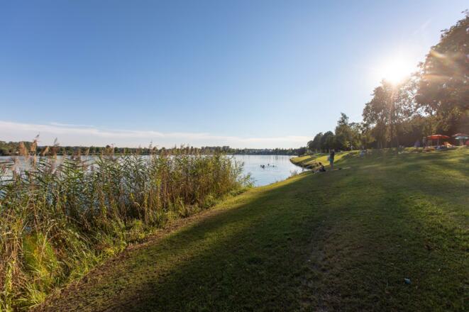 Am See