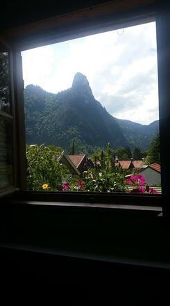 view from Fewo Lounge