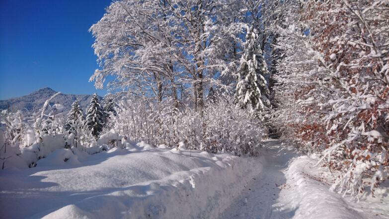 Winterwanderwege