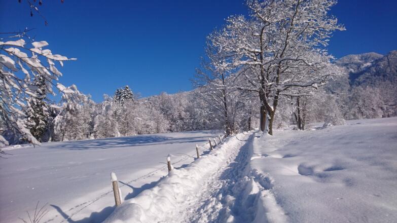 https://images.bs.ds-srv.net/objekt2_pics/obj_full_136404_004.jpg