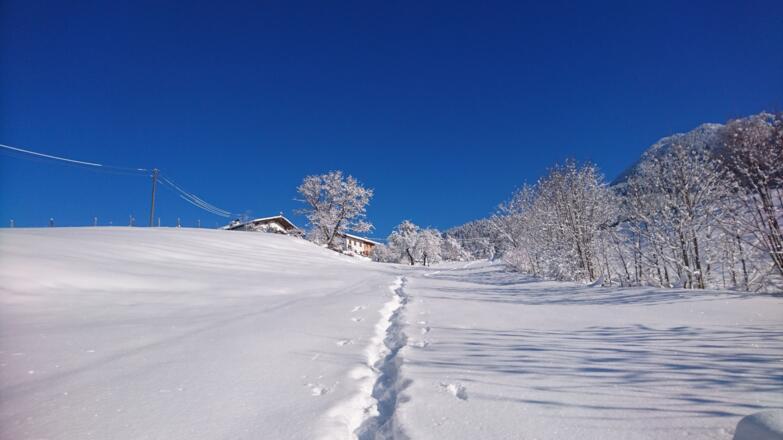 Winterwanderung direkt von der Haustüre aus