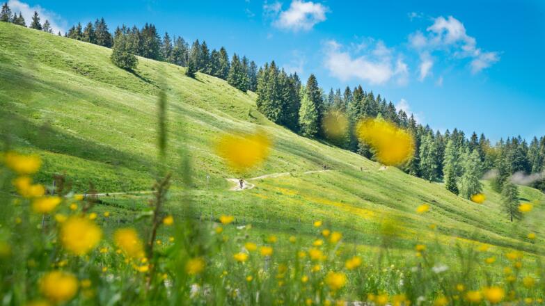 Unterwegs am Schliersberg