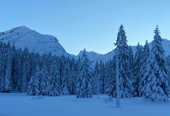Winterlandschaft in Tannheim