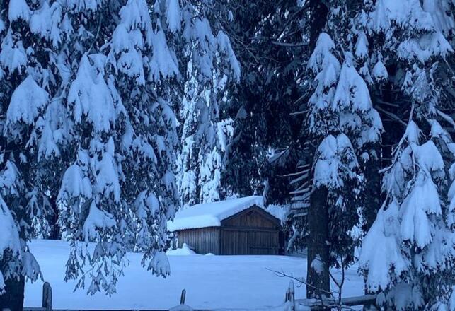 Spazieren im Winter