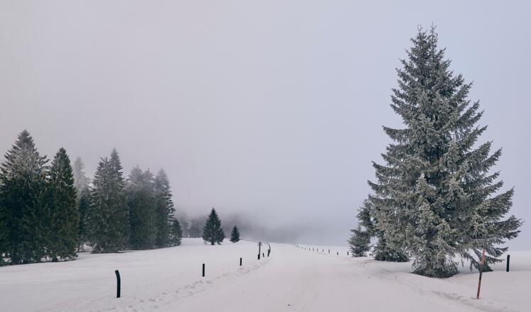 Winterherausforderung