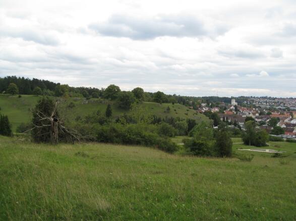 Blick auf Giengen