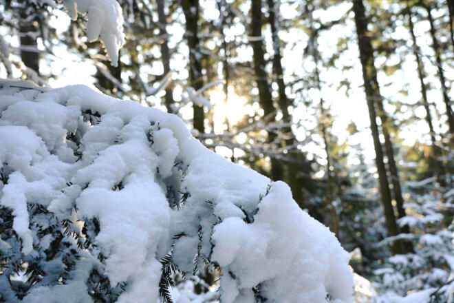 20230124 Winter Sonne