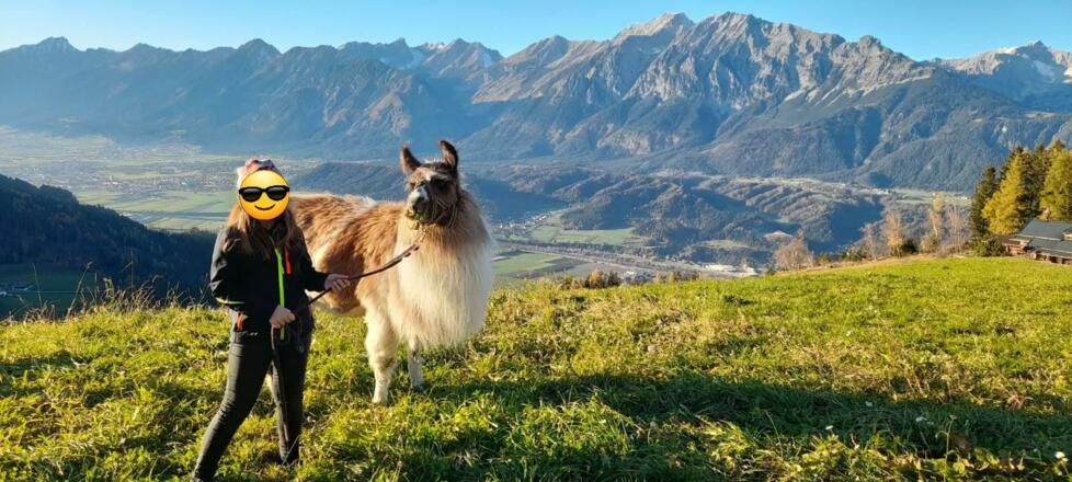 Lamawanderung gleich nebenan