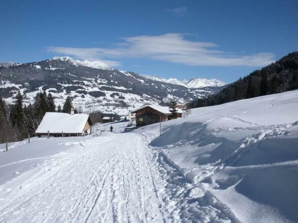 Winterwanderung im Gauertal