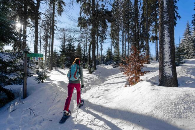 20240109  Schneeschuhwandern-55.jpg