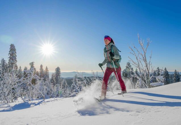 20240109 Mittagsplatzl Schneeschuhwandern-17.jpg