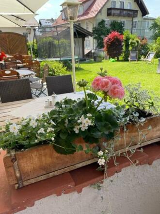 Hotelgarten