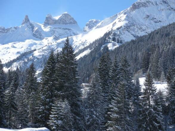 Drei Türme Gauertal
