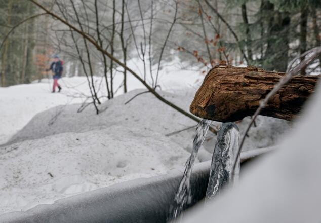 Winterherausforderung / Winterwandern / Vierjahreszeitenweg