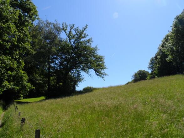 Landschaftsschutzgebiet in Prien