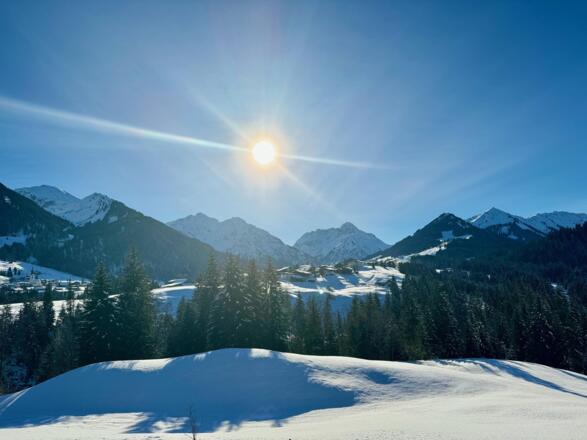 Aussicht von Ihrem Südbalkon