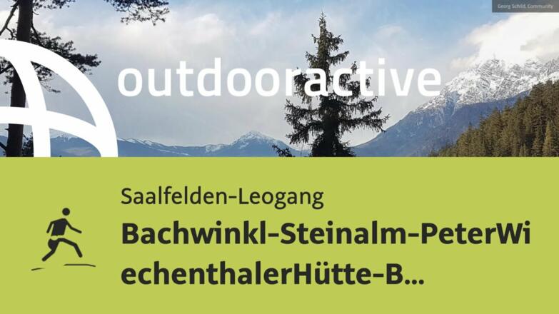 Trailrunning-Strecke in Saalfelden-Leogang: Bachwinkl-Steinalm-PeterWiechenthalerHütte-Bachwinkl