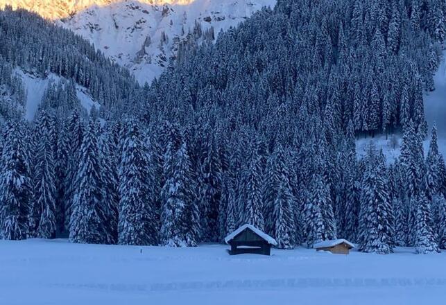 Winter in Tannheim