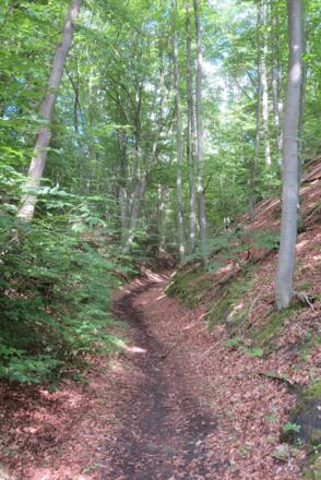 Hohlweg am Schlossberg Richtung Zell